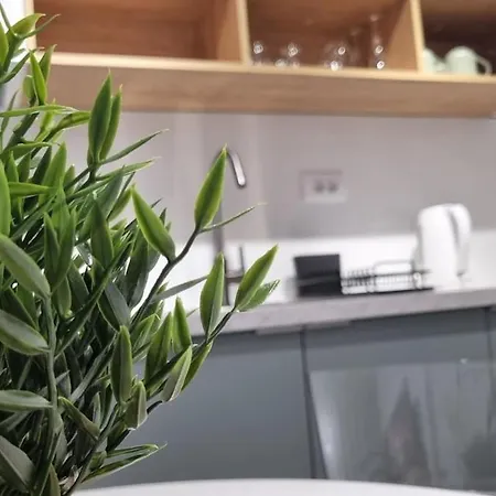 Grove-city Center With Free Parking Appartement *